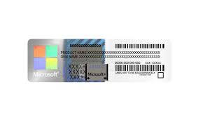 Microsoft Windows 10/11pro License key only